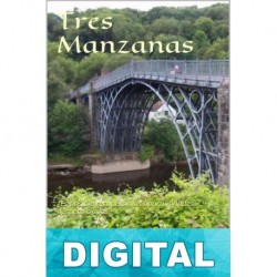 Tres manzanas Sol Fink
