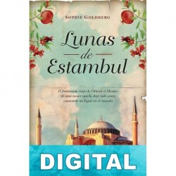 Lunas de Estambul Sophie Goldberg