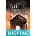 Las siete pruebas Stel Pavlou
