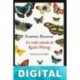 La vida soñada de Rachel Waring Stephen Benatar