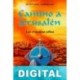 Camino a Jerusalen, las cruzadas celtas Stephen R. Lawhead