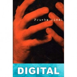 Prueba final Steve Martini