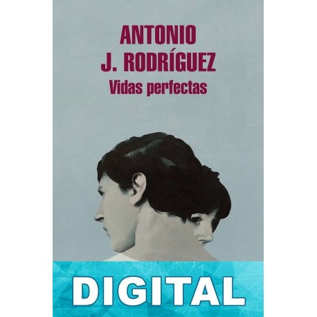 Vidas perfectas Antonio J. Rodríguez