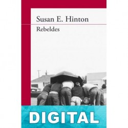 Rebeldes Susan E. Hinton