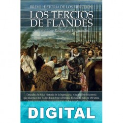 Breve historia de los ejércitos. Los Tercios de Flandes Antonio José Rodríguez Hernández