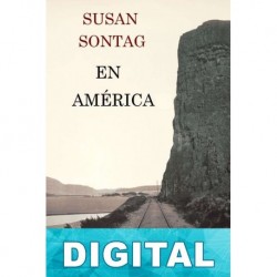 En América Susan Sontag