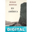 En América Susan Sontag