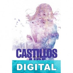 Castillos en el aire Susana Mohel