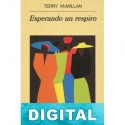 Esperando un respiro Terry McMillan