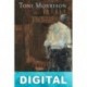 Amor a distancia Ulrich Beck & Elisabeth Beck-Gernsheim