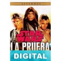 La prueba Troy Denning