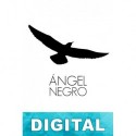 Ángel negro V. C. Andrews