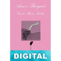 Amor burgués Vicente Muñoz Puelles