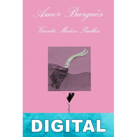 Amor burgués Vicente Muñoz Puelles
