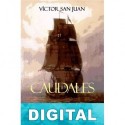 Caudales Víctor San Juan