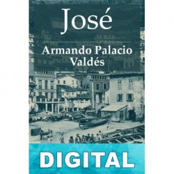 José Armando Palacio Valdés