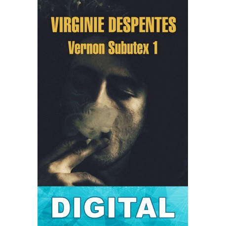 Vernon Subutex 1 Virginie Despentes