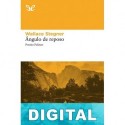 Ángulo de reposo Wallace Stegner