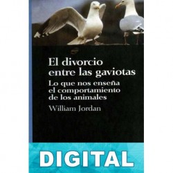 El divorcio entre las gaviotas William Jordan