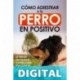 Cómo Adiestrar a tu Perro en Positivo_ La Mejor Psicología Canina para Educar a tu Cachorro desde Cero_ Guía Completa de Técnicas de Adiestramiento y Condicionamiento Canino Ben Martin