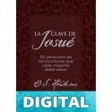 La clave de Josué O. S. Hawkins