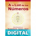 A la Luz de los Números: Claves interpretativas de Numerología, Cábala y Tarot Ricard Barrufet