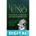 De Uno A Uno: Pensamientos y Reflexiones Para Lograr la Aceptación y Paz de una Madre Que Perdió A Su Hijo y Comparte Su Corazón Loly Neyra