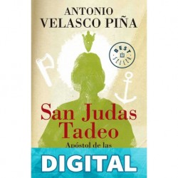 San Judas Tadeo Antonio Velasco Piña