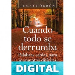 Cuando todo se derrumba: Palabras sabias para momentos difíciles (Budismo) Chödrön, Pema