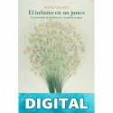 El infinito en un junco Iréne Vallejo