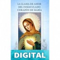 La Llama de Amor del Inmaculado Corazón de María: Diario Espiritual Isabel Kindelmann