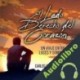 Audiolibro El Lado Derecho del Corazón Carlos Arriagada Palma