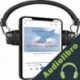 Audiolibro Testamento del Pájaro Solitario José Luis Martín Descalzo