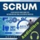Audiolibro Scrum Robert McCarthy