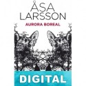 Aurora boreal Asa Larsson