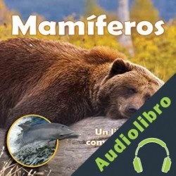 Audiolibro Mamíferos: Un libro de comparación y contraste Katharine Hall