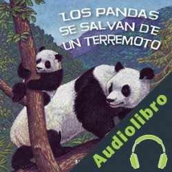 Audiolibro Los pandas se salvan de un terremoto Phyllis J. Perry