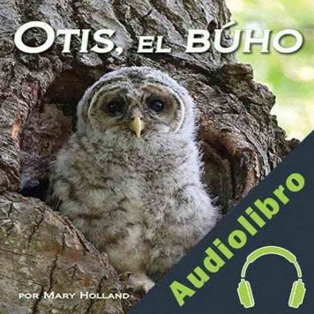 Audiolibro Otis, el Búho Mary Holland