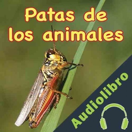 Audiolibro Patas de los animales Mary Holland