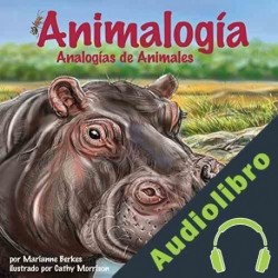 Audiolibro Animalogía: Analogías de Animales Marianne Berkes