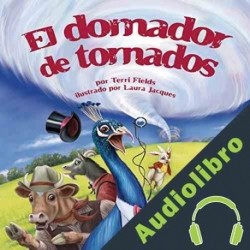 Audiolibro El domador de tornados Terri Fields