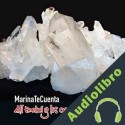Audiolibro Ali Babá y los 40 ladrones autor anónimo