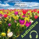 Audiolibro Sueños Rosa Sr Luis F Feliz LFF