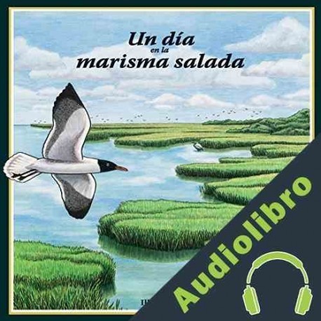 Audiolibro Un Día en la Marisma Salada Kevin Kurtz