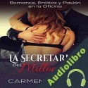 Audiolibro La Secretaria del Millonario Carmen Gracia