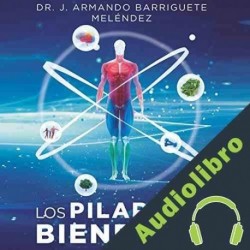 Audiolibro Los pilares del bienestar Jorge Armando Barriguete