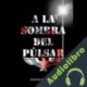 Audiolibro A la Sombra Del Púlsar Esteban Pérez Bolívar