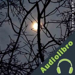 Audiolibro Un rayo de Luna Gustavo Adolfo Bécquer