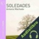 Audiolibro Soledades Antonio Machado