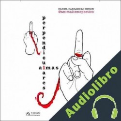 Audiolibro Almas Perpendiculares Daniel Barbadillo Dubon